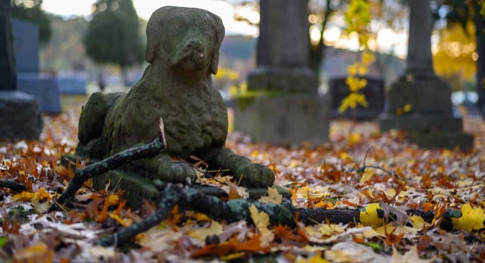 A stone memorial shaped like a dog in a pet cemetery.