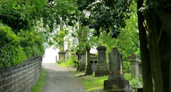 Path winding up through a cemetery or burial ground with dappled sunlight