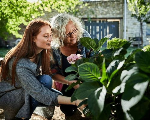 Mother and daughter examining plants on a sunny day