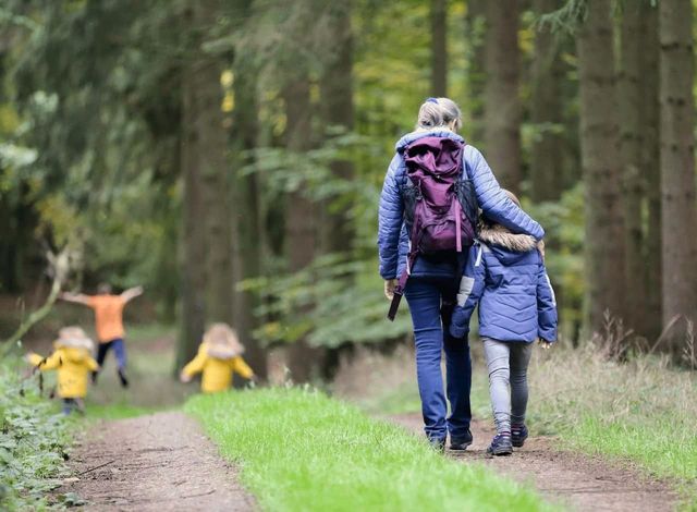 A family on a woodland walk to visit a memory tree
