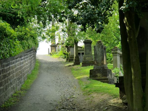 Path winding up through a cemetery or burial ground with dappled sunlight