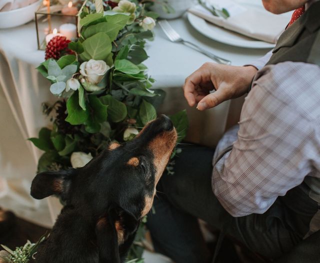 Man feeding black dog at a dinner table with flowers and candles