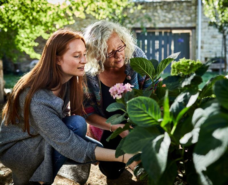 Senior woman and young woman examining flower in garden