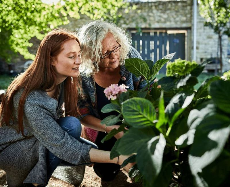 Mother and daughter examining plants on a sunny day